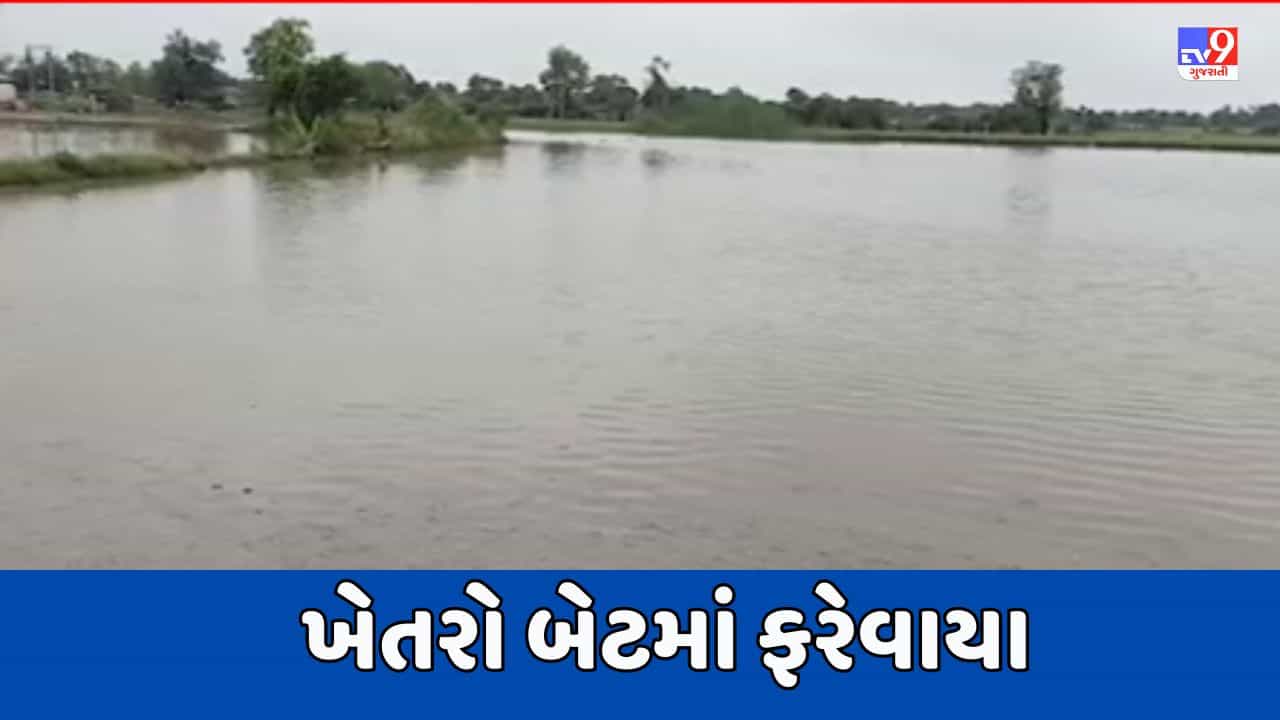 Banaskantha Video : થરાદમાં ભારે વરસાદથી ખેતરો બેટમાં ફરેવાયા, ઉભા પાકને વ્યાપક નુકસાનની ભીતી