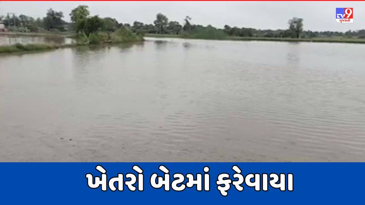 Banaskantha Video : થરાદમાં ભારે વરસાદથી ખેતરો બેટમાં ફરેવાયા, ઉભા પાકને વ્યાપક નુકસાનની ભીતી
