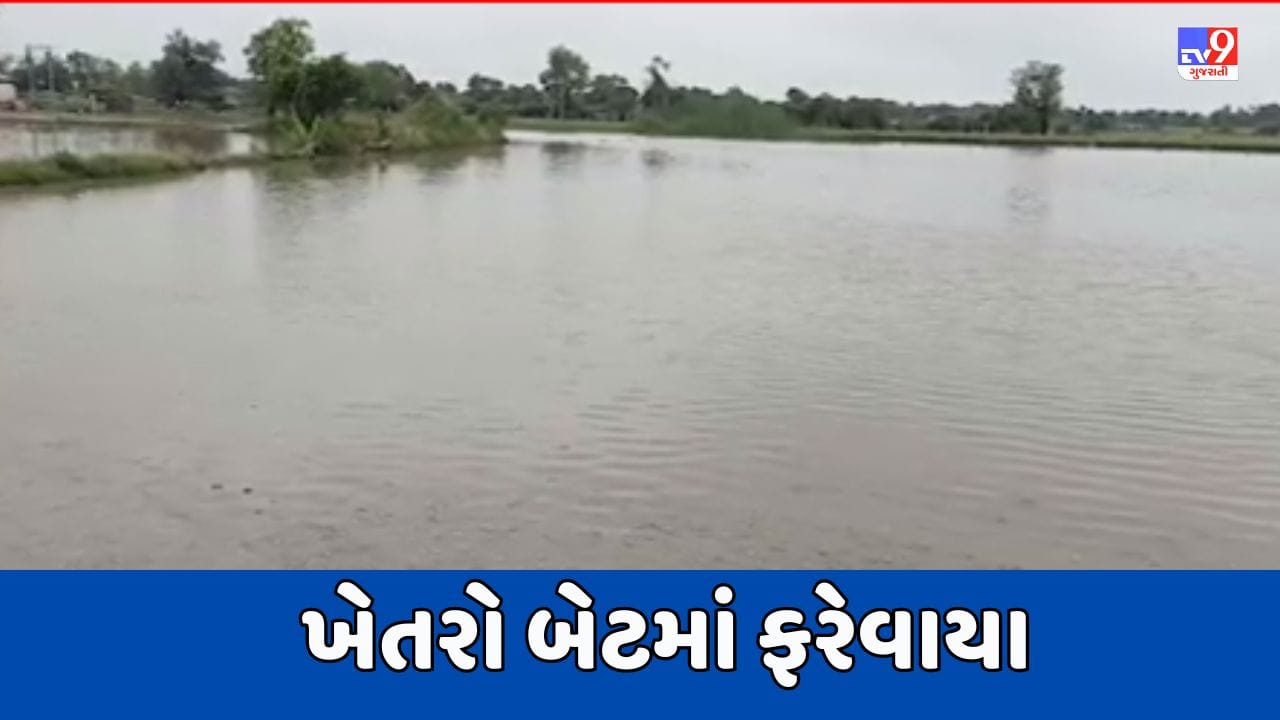 Banaskantha Video : થરાદમાં ભારે વરસાદથી ખેતરો બેટમાં ફરેવાયા, ઉભા પાકને વ્યાપક નુકસાનની ભીતી Banaskantha Video : થરાદમાં ભારે વરસાદથી ખેતરો બેટમાં ફરેવાયા, ઉભા પાકને વ્યાપક નુકસાનની ભીતી