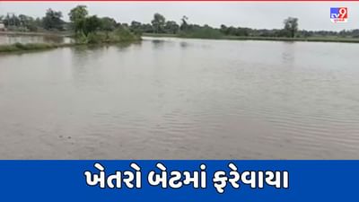 Banaskantha Video : થરાદમાં ભારે વરસાદથી ખેતરો બેટમાં ફરેવાયા, ઉભા પાકને વ્યાપક નુકસાનની ભીતી