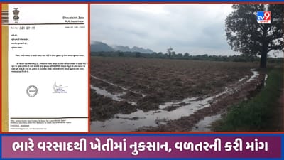 Aravalli: બાયડમાં ભારે વરસાદથી ખેતી-માલમિલ્કત નુક્સાન વળતર ચુકવવા MLAની માંગ, CM ને લખ્યો પત્ર, જુઓ Video Aravalli: બાયડમાં ભારે વરસાદથી ખેતી-માલમિલ્કત નુક્સાન વળતર ચુકવવા MLAની માંગ, CM ને લખ્યો પત્ર, જુઓ Video