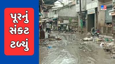 Bharuch Rain: ભરૂચ જિલ્લા માટે રાહતના સમાચાર, પૂરનું સંકટ ટળ્યા બાદ તંત્રએ સફાઈ કામગીરી શરૂ કરાવી, જુઓ Video