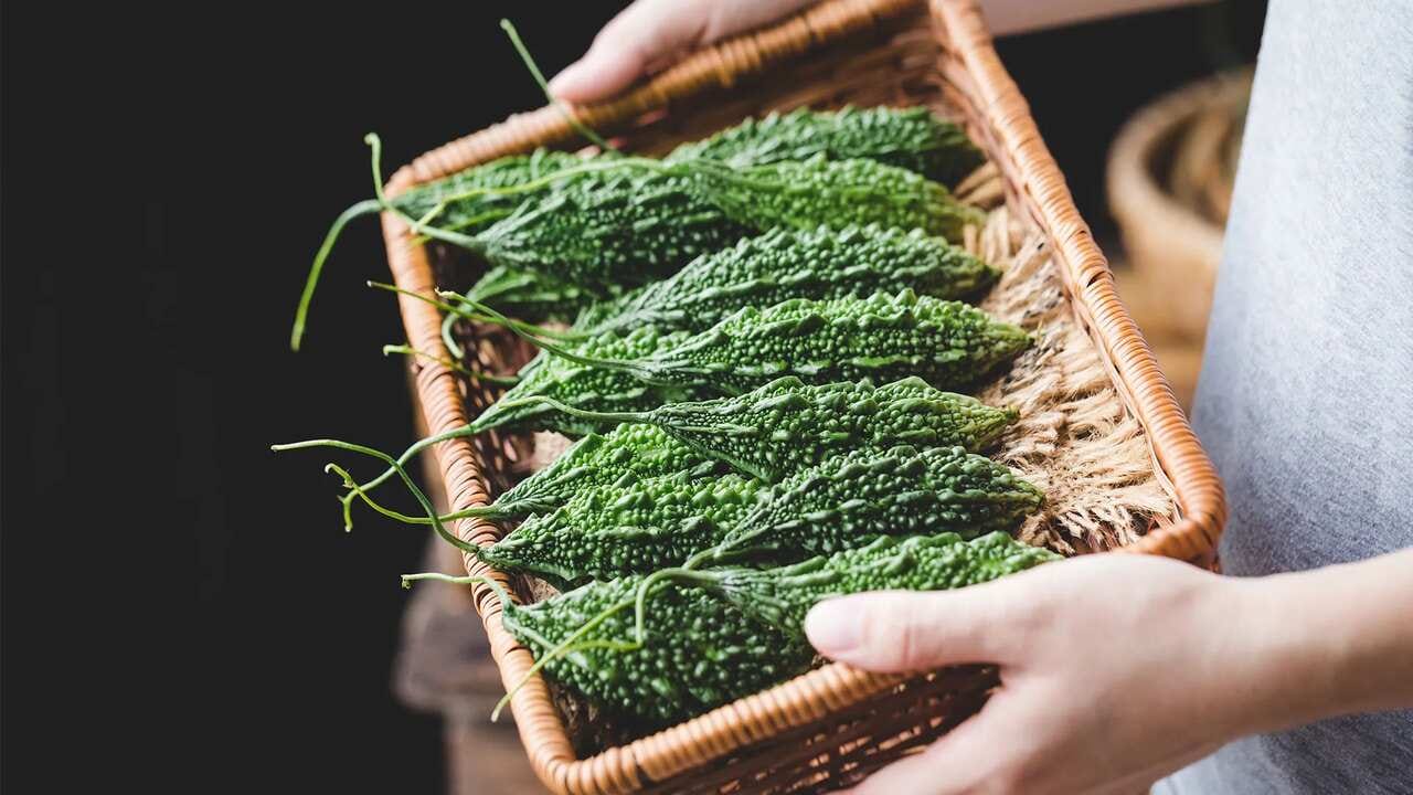 કારેલાનું વધુ પડતું સેવન કરવાથી પેટ સંબંધિત બીમારીઓ થઈ શકે છે. જે લોકો શુગર ઘટાડવા માટે દવાઓ લે છે તેઓએ વધુ માત્રામાં કારેલાનું સેવન ન કરવું જોઈએ. તેનાથી શુગર લેવલ વધુ ઘટી શકે છે.