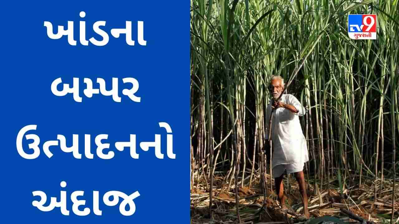 Commodity Market Today : સપ્ટેમ્બરમાં સારા વરસાદથી ખાંડના ઉત્પાદનની ચિંતા હળવી થશે, ખેડૂતોને શેરડીનો સારો ભાવ મળવાનો અંદાજ