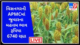 જુવારના મહત્તમ ભાવ વિસનગરની APMCમાં રૂપિયા 6740 રહ્યા જુવારના મહત્તમ ભાવ વિસનગરની APMCમાં રૂપિયા 6740 રહ્યા