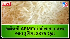 કલોલની APMCમાં ચોખાના મહત્તમ ભાવ રૂપિયા 2375 રહ્યા કલોલની APMCમાં ચોખાના મહત્તમ ભાવ રૂપિયા 2375 રહ્યા