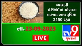 વ્યારાની APMCમાં ચોખાના મહત્તમ ભાવ રૂપિયા 2150 રહ્યા વ્યારાની APMCમાં ચોખાના મહત્તમ ભાવ રૂપિયા 2150 રહ્યા
