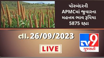 Mandi : પોરબંદરની APMCમાં જુવારના મહત્તમ ભાવ રૂપિયા 5875 રહ્યા, જાણો જુદા-જુદા પાકના ભાવ