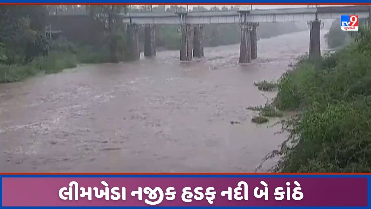 Dahod: લીમખેડાની હડફ નદીમાં નવા નીરની આવક, ઉપરવાસમાં ભારે વરસાદથી બે કાંઠે થઈ, જુઓ video
