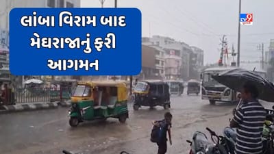 Gujarat Rain: દાહોદમાં લગભગ એક માસ બાદ ફરી વરસાદ, ખેડૂતોમાં ખુશીનો માહોલ, જુઓ Video