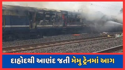 Breaking News : દાહોદથી આણંદ જતી મેમુ ટ્રેનમાં લાગી આગ, ફર્સ્ટ કલાસનો ડબ્બો આગની ચપેટમાં, જુઓ Video Breaking News : દાહોદથી આણંદ જતી મેમુ ટ્રેનમાં લાગી આગ, ફર્સ્ટ કલાસનો ડબ્બો આગની ચપેટમાં, જુઓ Video