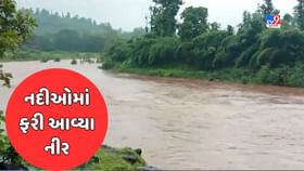 Dang : ભારે વરસાદના કારણે નદીઓમાં આવ્યા નીર Dang : ભારે વરસાદના કારણે નદીઓમાં આવ્યા નીર