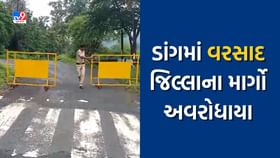 વરસાદને પગલે જિલ્લાના ચાર માર્ગો અવરોધાયા વરસાદને પગલે જિલ્લાના ચાર માર્ગો અવરોધાયા