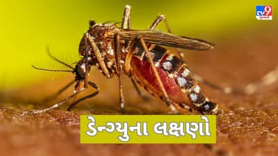 Dengue : ડેન્ગ્યુમાં પ્લેટલેટ્સ ઘટવા પર શરીરમાં દેખાય છે આ 6 લક્ષણો, તરત જ કરાવો સારવાર