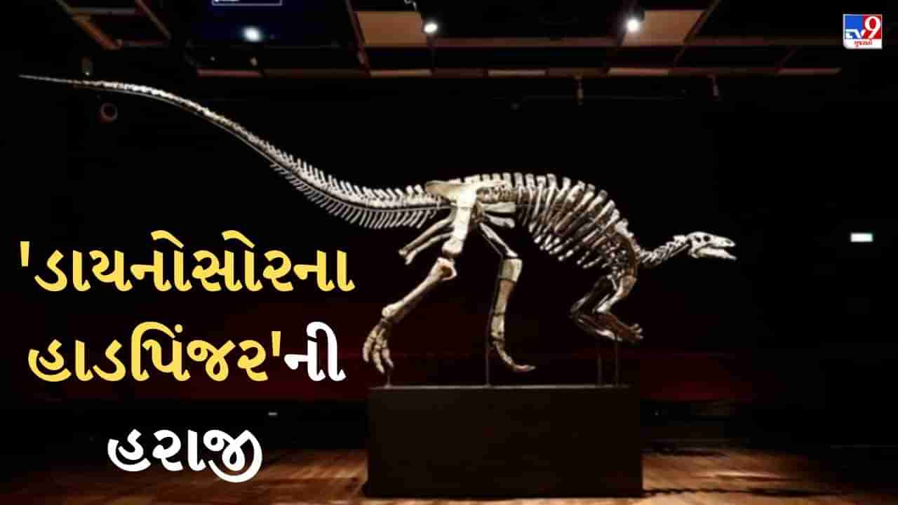 Paris News : પેરિસમાં ડાયનોસોર હાડપિંજરની થશે હરાજી, કરોડો રૂપિયામાં વેચાશે તેવી આશા