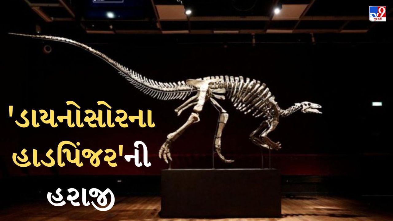 Paris News : પેરિસમાં 'ડાયનોસોર હાડપિંજર'ની થશે હરાજી, કરોડો રૂપિયામાં વેચાશે તેવી આશા