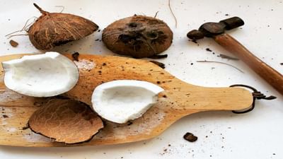 સૂકા નારિયેળમાં પ્રોટીન, વિટામીન, આયર્ન, કેલ્શિયમ, મેંગેનીઝ, સેલેનિયમ, કોપર, ફોસ્ફરસ, પોટેશિયમ, મેગ્નેશિયમ જેવા તત્વો મળી આવે છે. આ ઉપરાંત સૂકા નારિયેળમાં એન્ટીઓક્સીડેન્ટ ગુણ પણ હોય છે. પરંતુ સૂકું નાળિયેર ખાવાના ઘણા ફાયદા છે તો કેટલાક ગેરફાયદા પણ છે. જાણો શુષ્ક નારિયેળ ખાવાના ફાયદા અને નુકસાન શું છે.