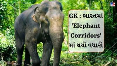 GK : ભારતમાં Elephant Corridors વધ્યા, જાણો દેશના ક્યા ભાગમાં કેટલા એલિફન્ટ કોરિડોર છે?