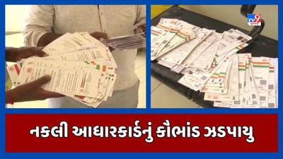 Surat : નકલી 31 વેબસાઈટ બનાવી આધારકાર્ડ બનાવવાનું કૌભાંડ ઝડપાયુ, રાજસ્થાનના શ્રીગંગાનગરથી આરોપીની ધરપકડ