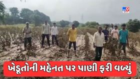 ડભોઈ તાલુકાના 4 ગામમાં પૂરના પાણી ફરી વળતા ખેડૂતોની મહેનત પાણીમાં ડભોઈ તાલુકાના 4 ગામમાં પૂરના પાણી ફરી વળતા ખેડૂતોની મહેનત પાણીમાં