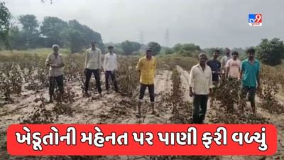 Gujarati Video : વડોદરામાં પૂરે વેર્યો વિનાશ, ડભોઈના ખેતરોમાં પાણી ફરી વળતા પાકને મોટું નુકસાન
