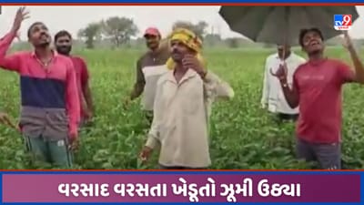 Vadodara: વડોદરાના વાઘોડીયામાં મેઘમહેરથી ખેડૂતો ઝૂમી ઉઠ્યા, મૂરઝાતા પાકને જીવનદાન મળ્યાનો આનંદ, જુઓ Video