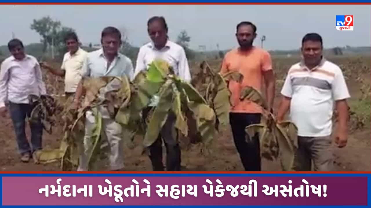 Narmada: નર્મદામાં ખેતી નુક્સાન પેકેજથી ખેડૂતો નારાજ, સહાય નજીવી હોવાનો આક્ષેપ, જુઓ video