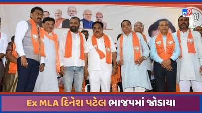 Vadodara: પાદરાના પૂર્વ ધારાસભ્ય દીનુ મામા ફરી ભાજપમાં જોડાયા, સીઆર પાટીલે પહેરાવ્યો ખેસ, જુઓ Video