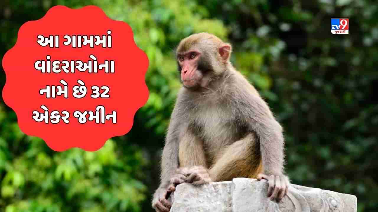 GK Quiz: ભારતના એક ગામમાં વાંદરાઓના નામે છે 32 એકર જમીન, જાણો ક્યાં આવેલું છે