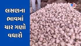 હાપા માર્કેટ યાર્ડમાં લસણના મણના રૂ.1500થી 2200 ભાવ નોંધાયા હાપા માર્કેટ યાર્ડમાં લસણના મણના રૂ.1500થી 2200 ભાવ નોંધાયા