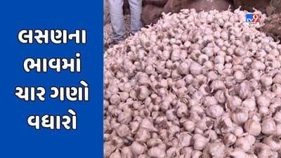 Jamnagar : લસણના ભાવમાં વધારો, ખેડૂતો અને વેપારીઓમાં ખુશીનો માહોલ, જુઓ Video