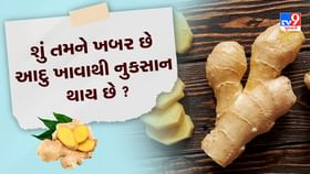 Ginger Benefits and Side Effects: આદુ ખાવાના ફાયદા અને નુકસાન Ginger Benefits and Side Effects: આદુ ખાવાના ફાયદા અને નુકસાન