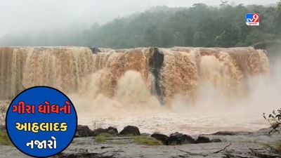 Dang: અંબિકા નદી પર આવેલા ગીરા ધોધની સુંદરતામાં થયો વધારો, જુઓ Video
