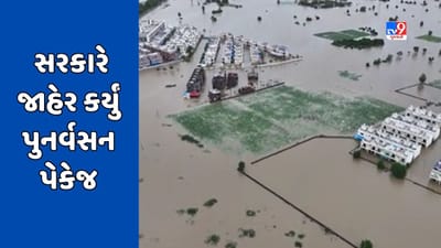 Breaking News : નર્મદા પૂર તારાજી મુદ્દે સરકારે જાહેર કર્યું પુનર્વસન પેકેજ, વડોદરાના 31 અને નર્મદાના 32 ગામોને થશે ફાયદો