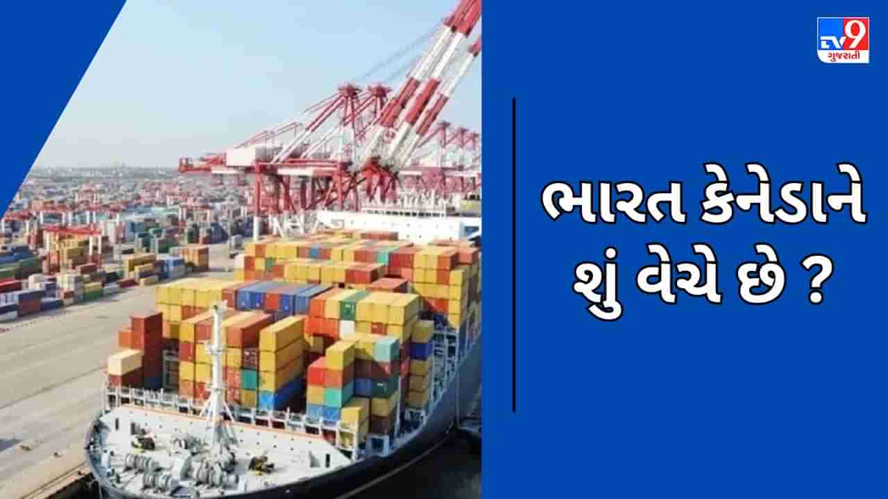 India Canada Trade: ભારત કેનેડાને શું વેચે છે ? જાણો બંને દેશો વચ્ચે કઇ-કઇ વસ્તુની થાય છે આયાત- નિકાસ