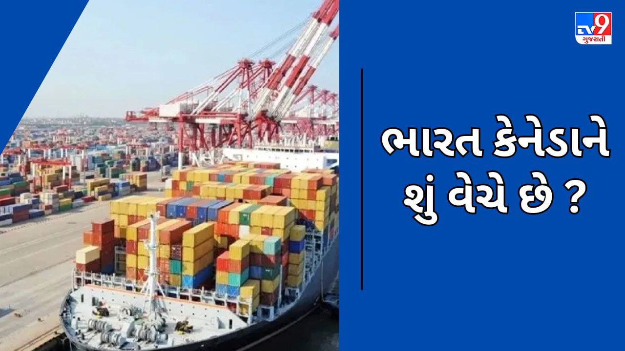 India Canada Trade: ભારત કેનેડાને શું વેચે છે ? જાણો બંને દેશો વચ્ચે કઇ-કઇ વસ્તુની થાય છે આયાત- નિકાસ