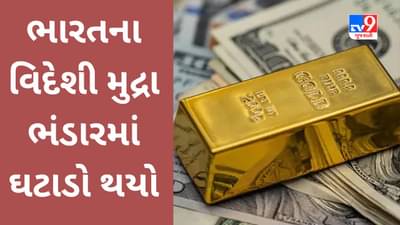 India Forex Reserves : ભારતના વિદેશી મુદ્રા ભંડારમાં ઘટાડો થયો, જાણો હવે દેશની તિજોરીમાં કેટલું ધન છે?