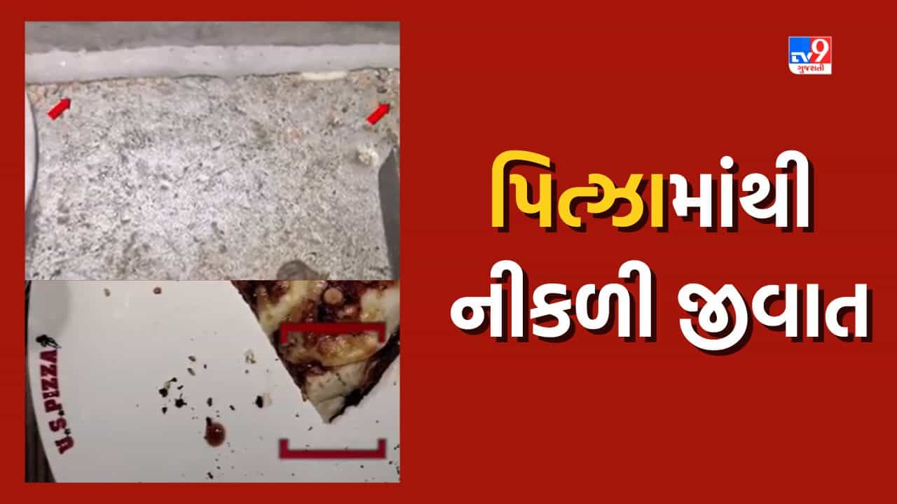 Jamnagar: બે દિવસમાં બે વાનગી માંથી નીકળી જીવાત, પિત્ઝામાં જીવાત દેખાતા ગ્રાહકે કરી ફરિયાદ, જુઓ Video