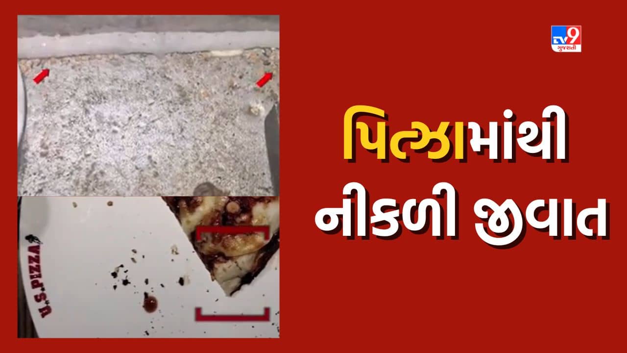 Jamnagar: બે દિવસમાં બે વાનગી માંથી નીકળી જીવાત, પિત્ઝામાં જીવાત દેખાતા ગ્રાહકે કરી ફરિયાદ, જુઓ Video