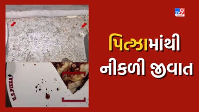 Jamnagar: બે દિવસમાં બે વાનગી માંથી નીકળી જીવાત, પિત્ઝામાં જીવાત દેખાતા ગ્રાહકે કરી ફરિયાદ, જુઓ Video Jamnagar: બે દિવસમાં બે વાનગી માંથી નીકળી જીવાત, પિત્ઝામાં જીવાત દેખાતા ગ્રાહકે કરી ફરિયાદ, જુઓ Video