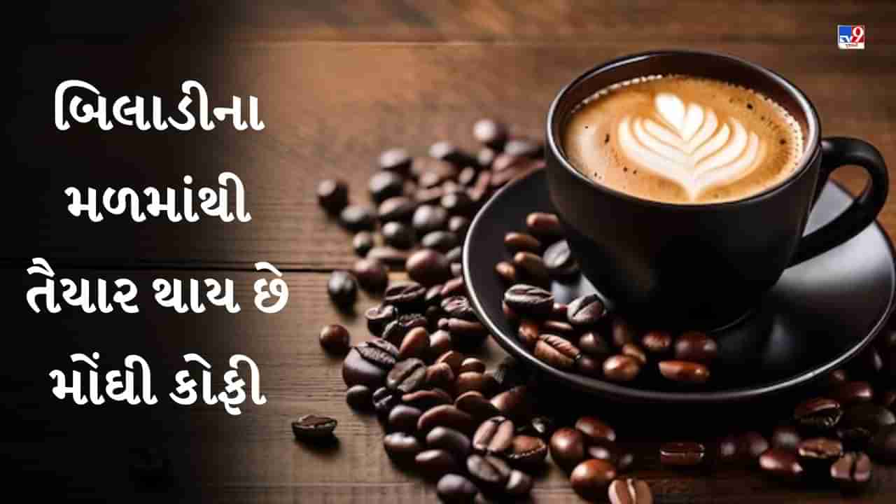 International Coffee Day : વિશ્વની સૌથી મોંઘી કોફી, તૈયાર થાય છે બિલાડીના મળમાંથી, કિંમત જાણીને હોંશ ઉડી જશે