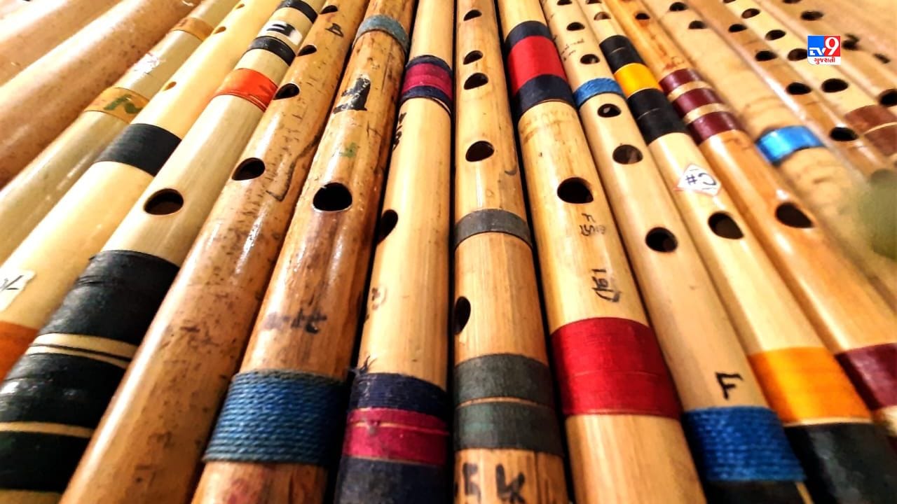 આજે જટાશંકર જોશી પાસે રૂપિયા 100 થી લઈ અને અંદાજિત 1 લાખ સુધીની વાંસળીઓનું કલેક્શન છે. 6 ઈંચની નાની વાંસળીથી લઈને 3.5(સાડા -ત્રણ) ફૂટ વાંસળીનો સંગ્રહ છે. જેમાં માઉથ ઓર્ગન, દેશી પાવો, પ્લાસ્ટિકની, સ્ટીલની, અને બામ્બુ વાંસળીઓનો સમાવેશ થાય છે.