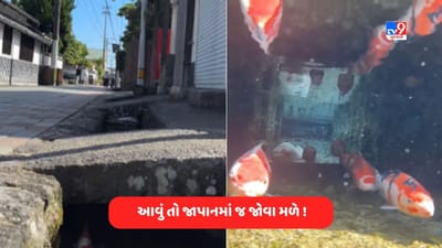 Viral Video: આવું તો જાપાનમાં જ થાય ! નાળાઓમાં ગંદકીને બદલે તરી રહી છે સુંદર માછલીઓ, જુઓ વીડિયો