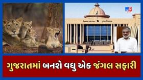 ઉનામાં વધુ એક જંગલ સફારી બનશે ઉનામાં વધુ એક જંગલ સફારી બનશે