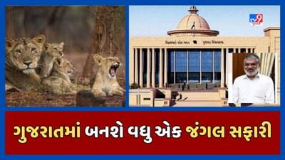 Gandhinagar : ગુજરાતમાં વધુ એક બનશે જંગલ સફારી, ઉનામાં સિંહોનો નવો વસવાટ બનાવવા ગુજરાત સરકારે આપી મંજુરી, જૂઓ Video