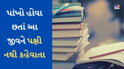 GK Quiz : પાંખો હોવા છતાં આ જીવોને પક્ષી કેમ નથી કહેવાતા? કારણ જાણીને થઈ જશો હેરાન