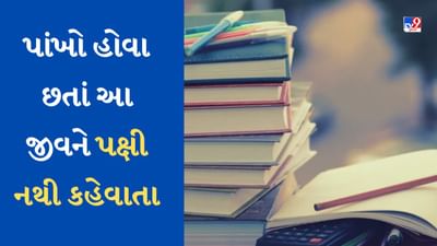 GK Quiz : પાંખો હોવા છતાં આ જીવોને પક્ષી કેમ નથી કહેવાતા? કારણ જાણીને થઈ જશો હેરાન