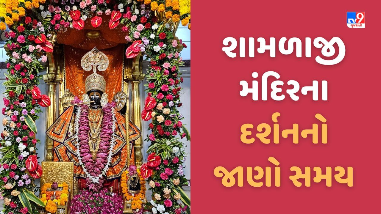 Shamlaji: શામળાજીમાં જન્માષ્ટમી મેળાને લઈ કરાઈ તડામાર તૈયારીઓ, જાણો આઠમના દર્શનનો સમય