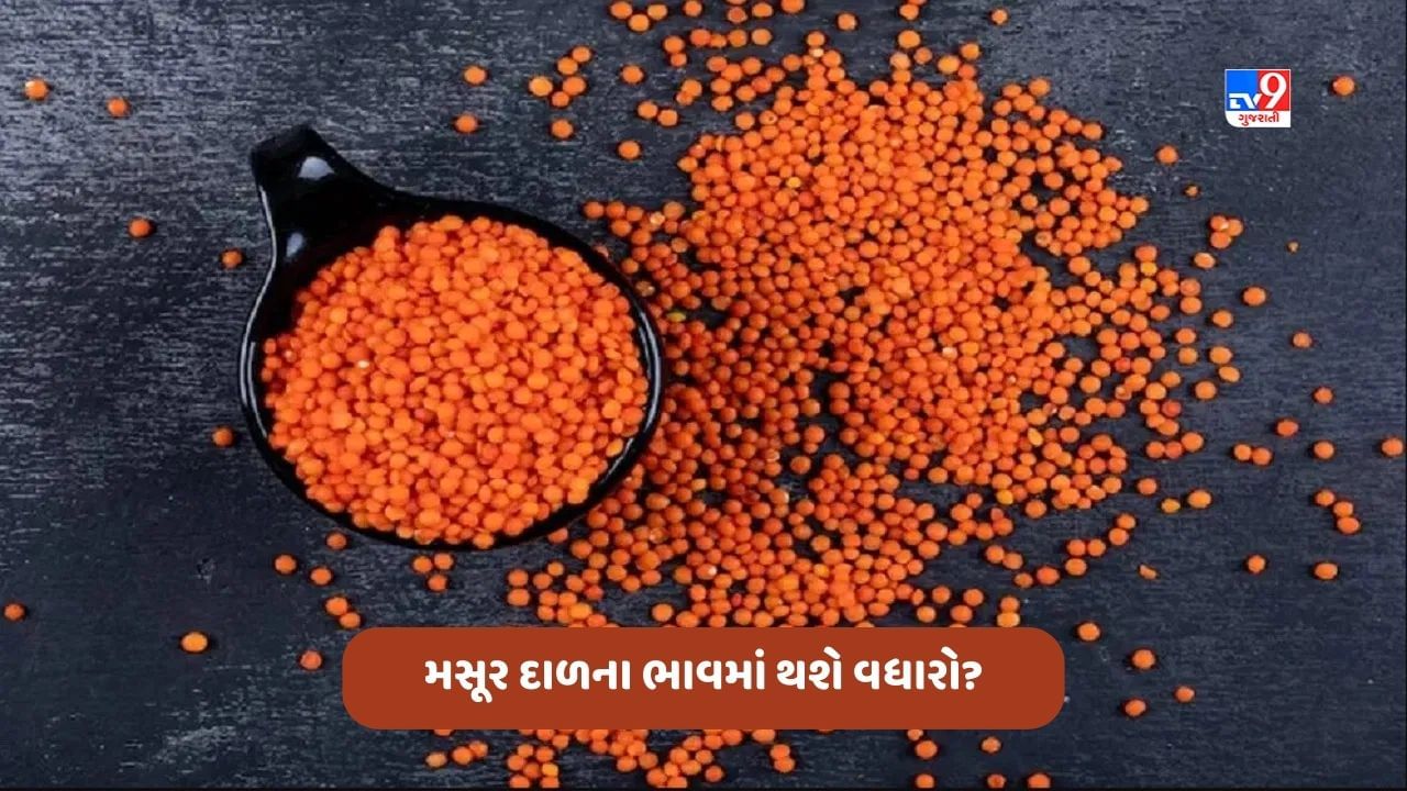 કેનેડા સાથેના વિવાદની અસર મસૂર દાળના ભાવ પર થશે? જાણો દેશમાં મોંઘવારી વધશે કે ઘટશે