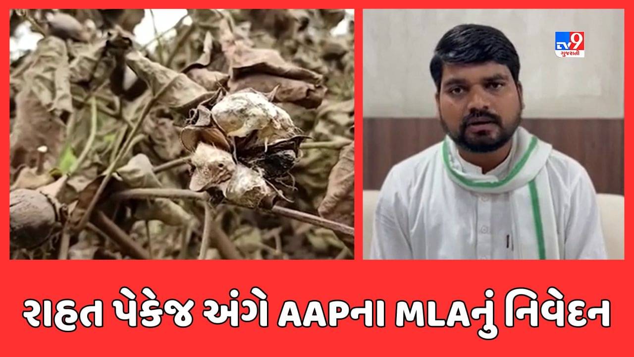 Narmada: “સરકારે નર્મદાના ખેડૂતો સાથે મજાક કરી” રાહત પેકેજ અંગે AAPના MLAનું નિવેદન, જુઓ Video